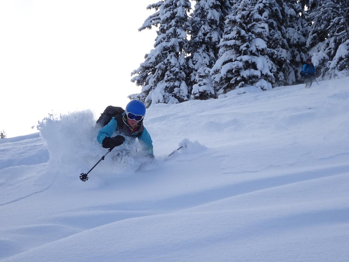 Ski Breezy Chalet Chamonix Dış mekan fotoğraf